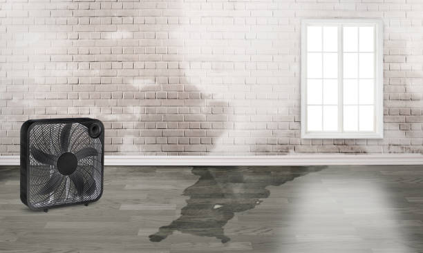Best 24-hour water damage restoration  in Arnaudville, LA