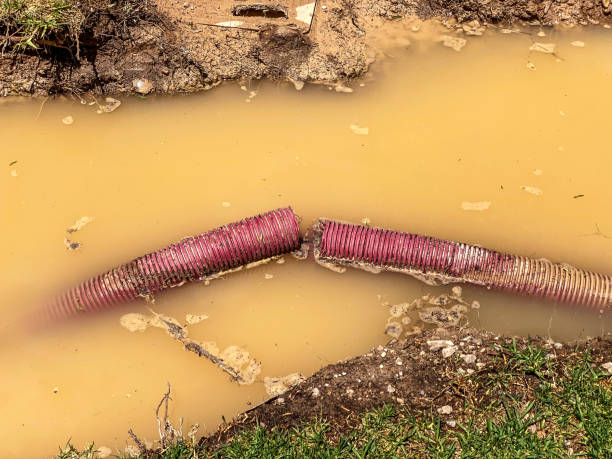 Best Sewage cleanup and water damage restoration  in Arnaudville, LA