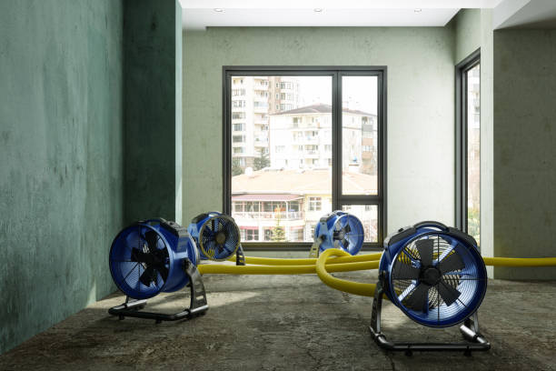Best Water damage restoration process  in Arnaudville, LA